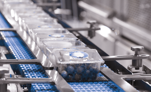 Agroalimentaire & Emballages